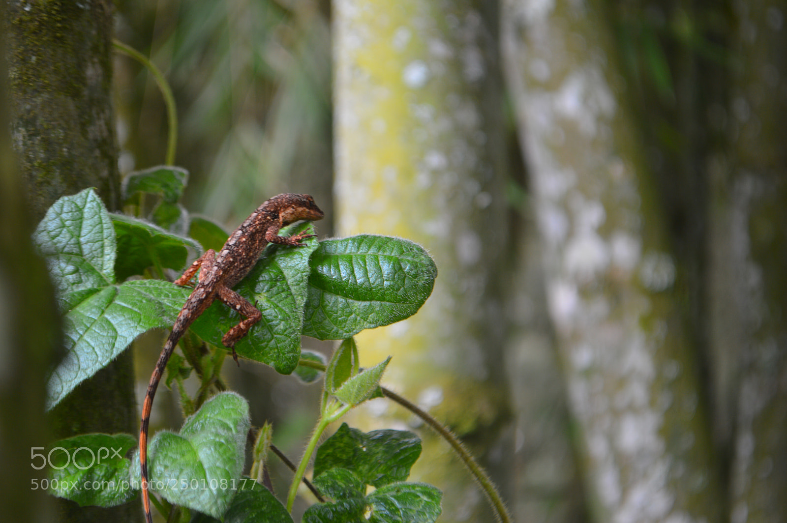 Nikon D3200 sample photo. Untitled photography