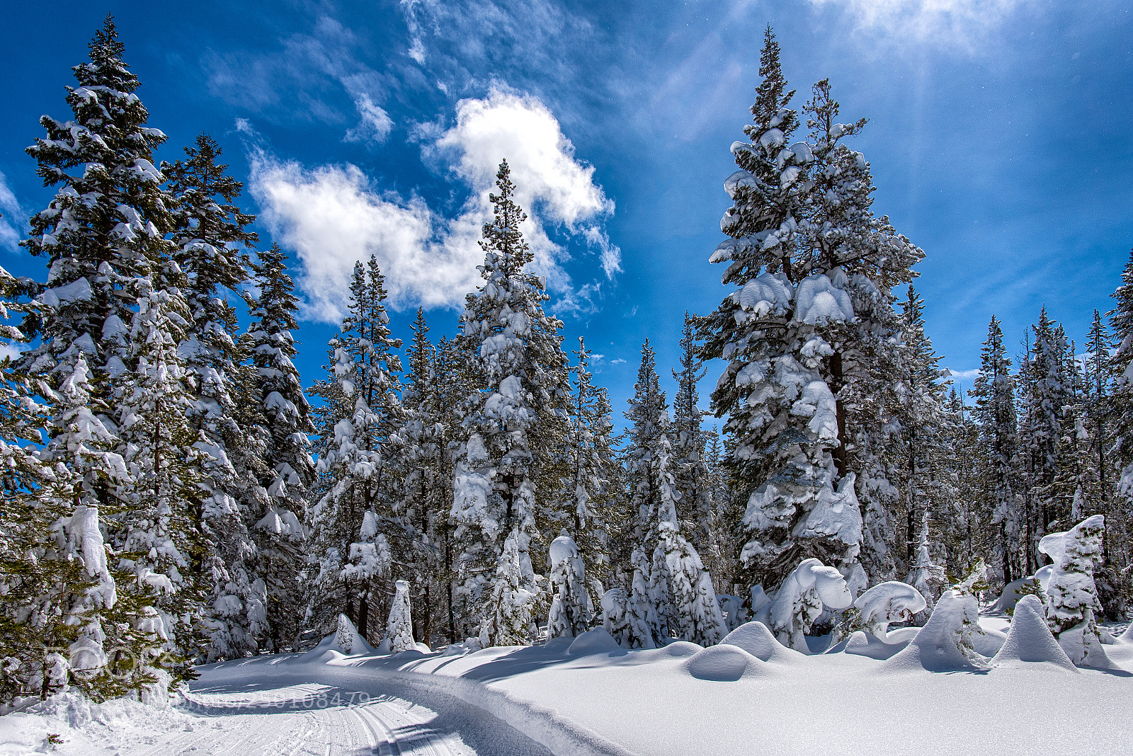 Nikon D750 sample photo. Fairy tale in snow photography