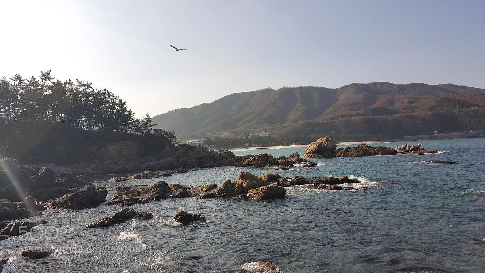 Samsung Galaxy S6 sample photo. Untitled photography