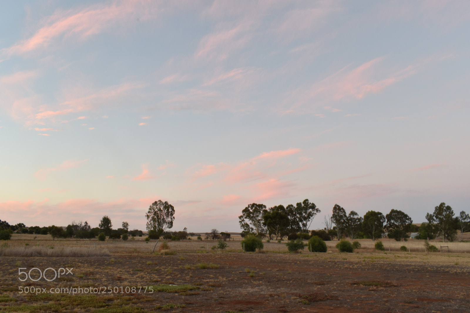 Nikon D5600 sample photo. Opposite of sunset photography