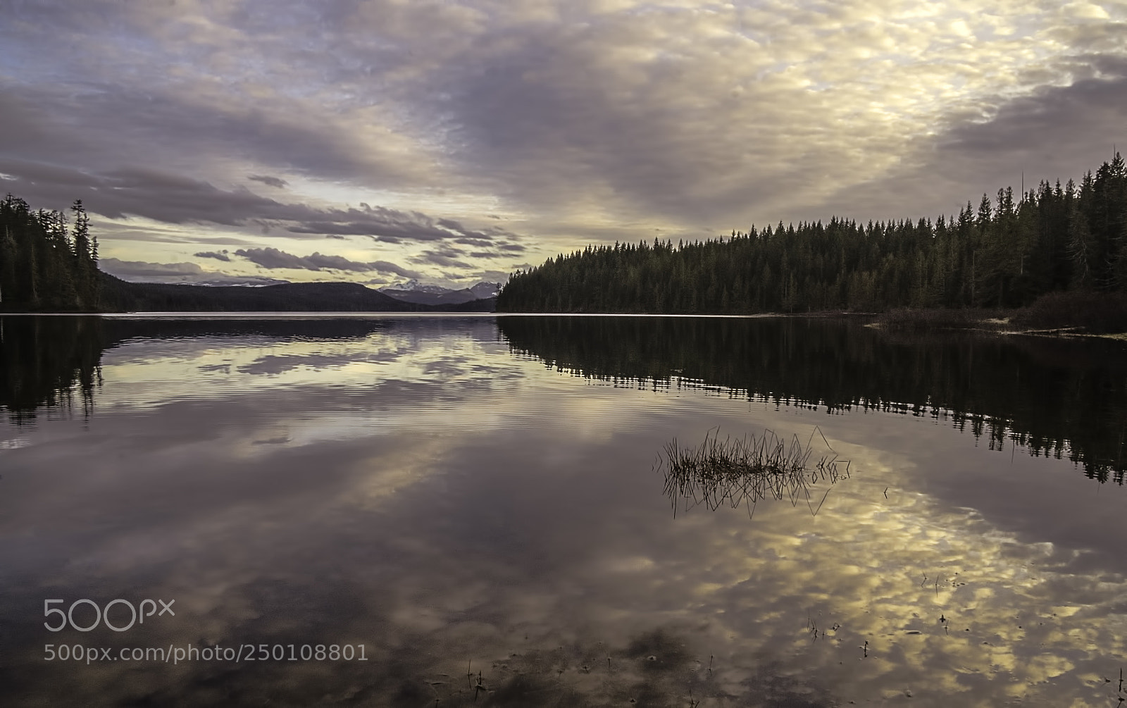 Sony a7R sample photo. Evening settles photography