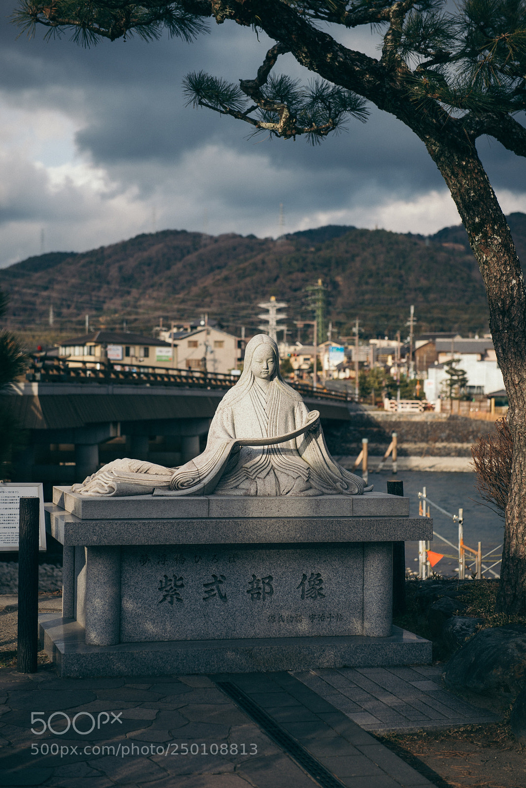 Nikon D800 sample photo. 紫式部 photography