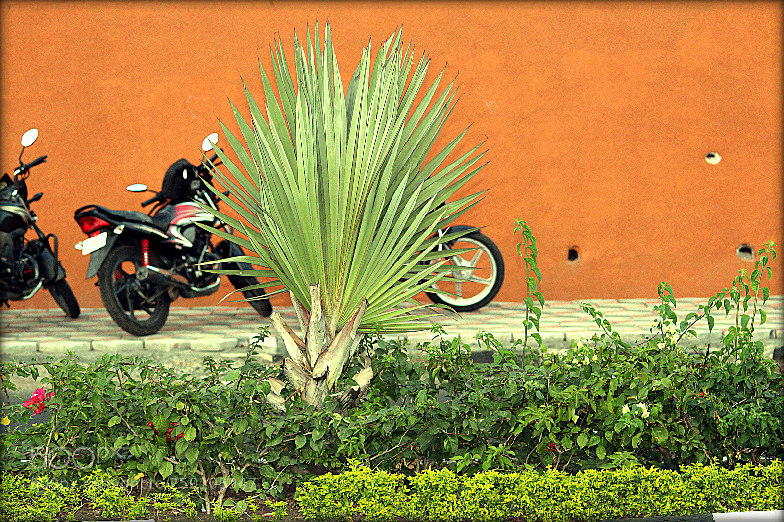 Canon EOS 700D (EOS Rebel T5i / EOS Kiss X7i) sample photo. Untitled photography