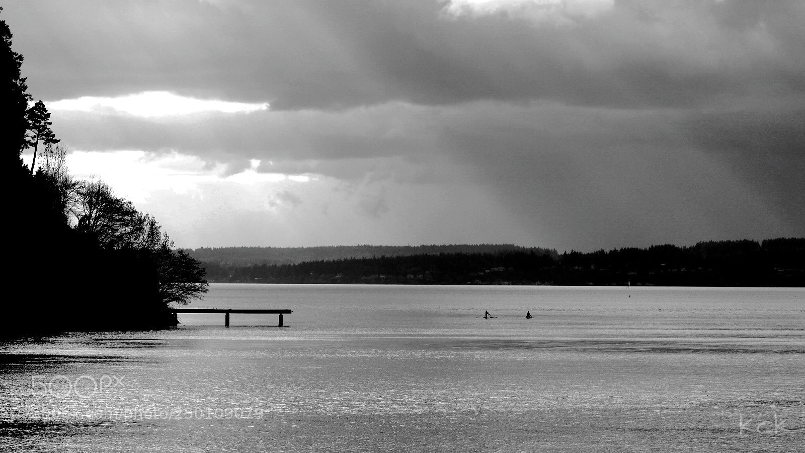 Olympus OM-D E-M10 II sample photo. Pacific northwest afternoon. photography