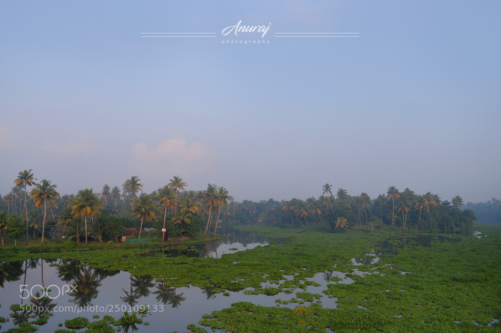 Nikon D3200 sample photo. Beauty of nature photography