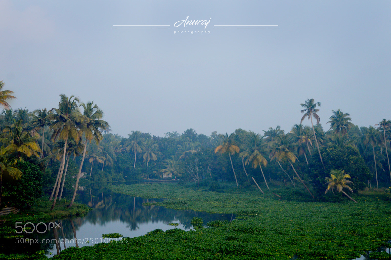 Nikon D3200 sample photo. Beauty of nature photography