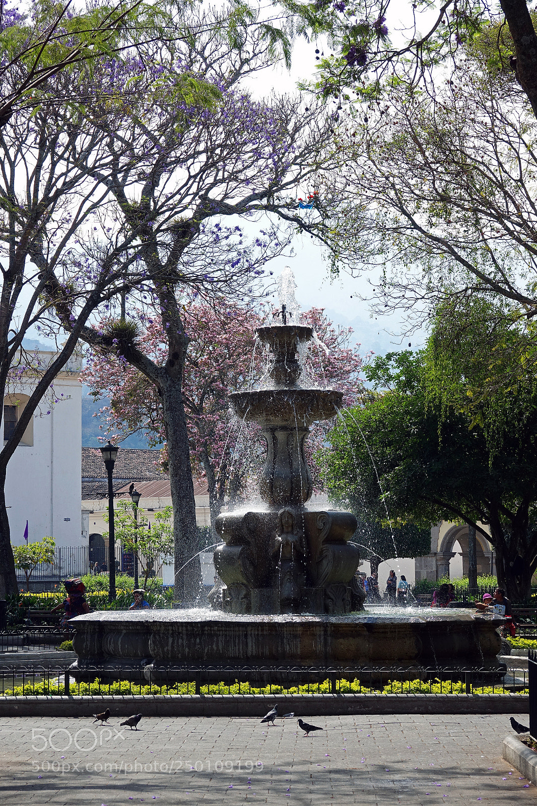Sony Cyber-shot DSC-RX10 III sample photo. La fuente photography