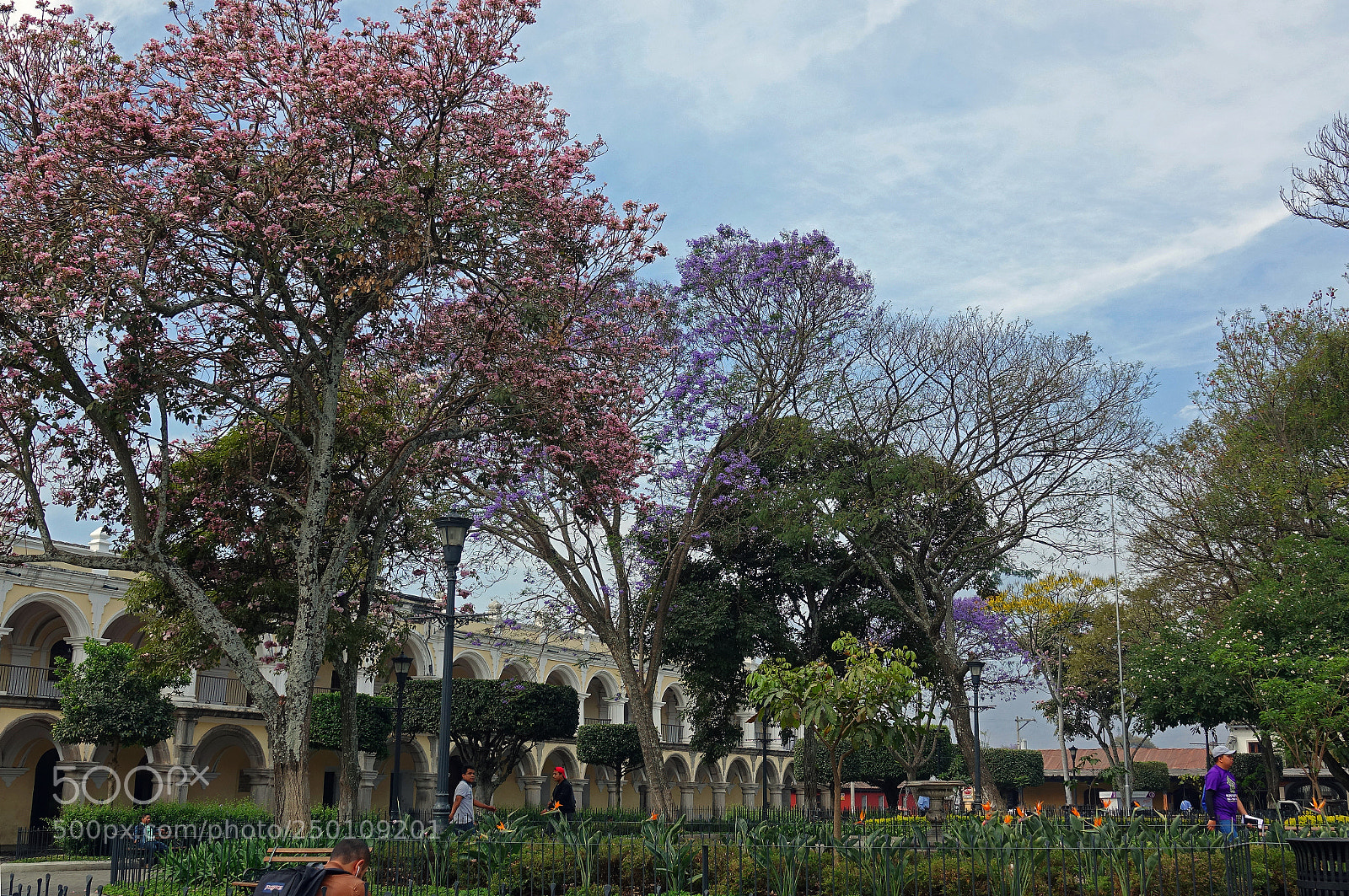 Sony Cyber-shot DSC-RX10 III sample photo. Parque central photography