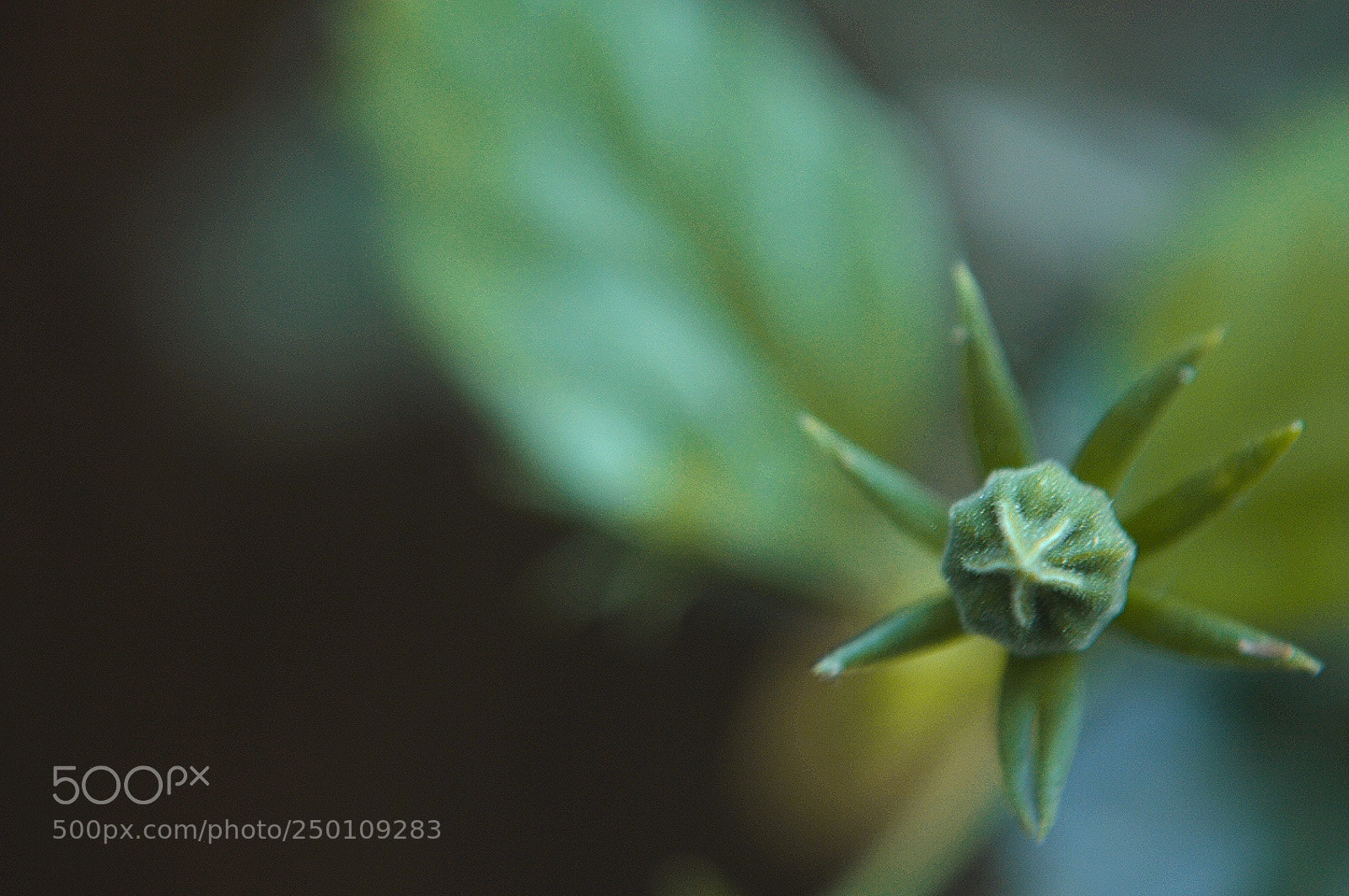 Nikon D3200 sample photo. Untitled photography