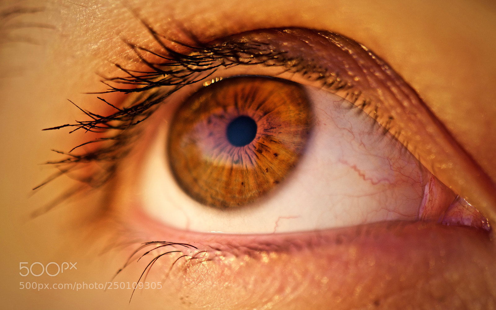 Nikon D7100 sample photo. "black hole" photography