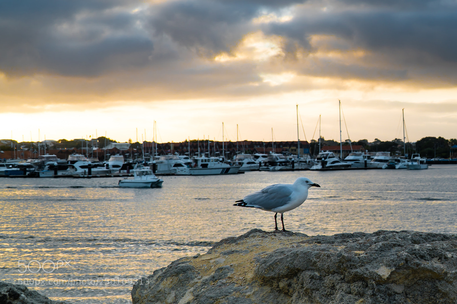 Sony a6300 sample photo. Enjoying the view photography