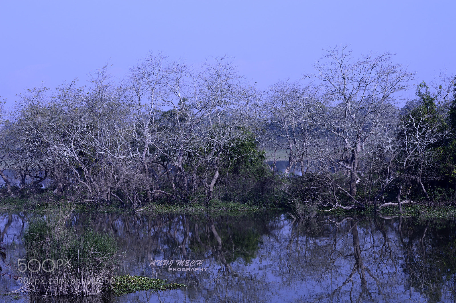 Nikon D3200 sample photo. Solitude.. photography