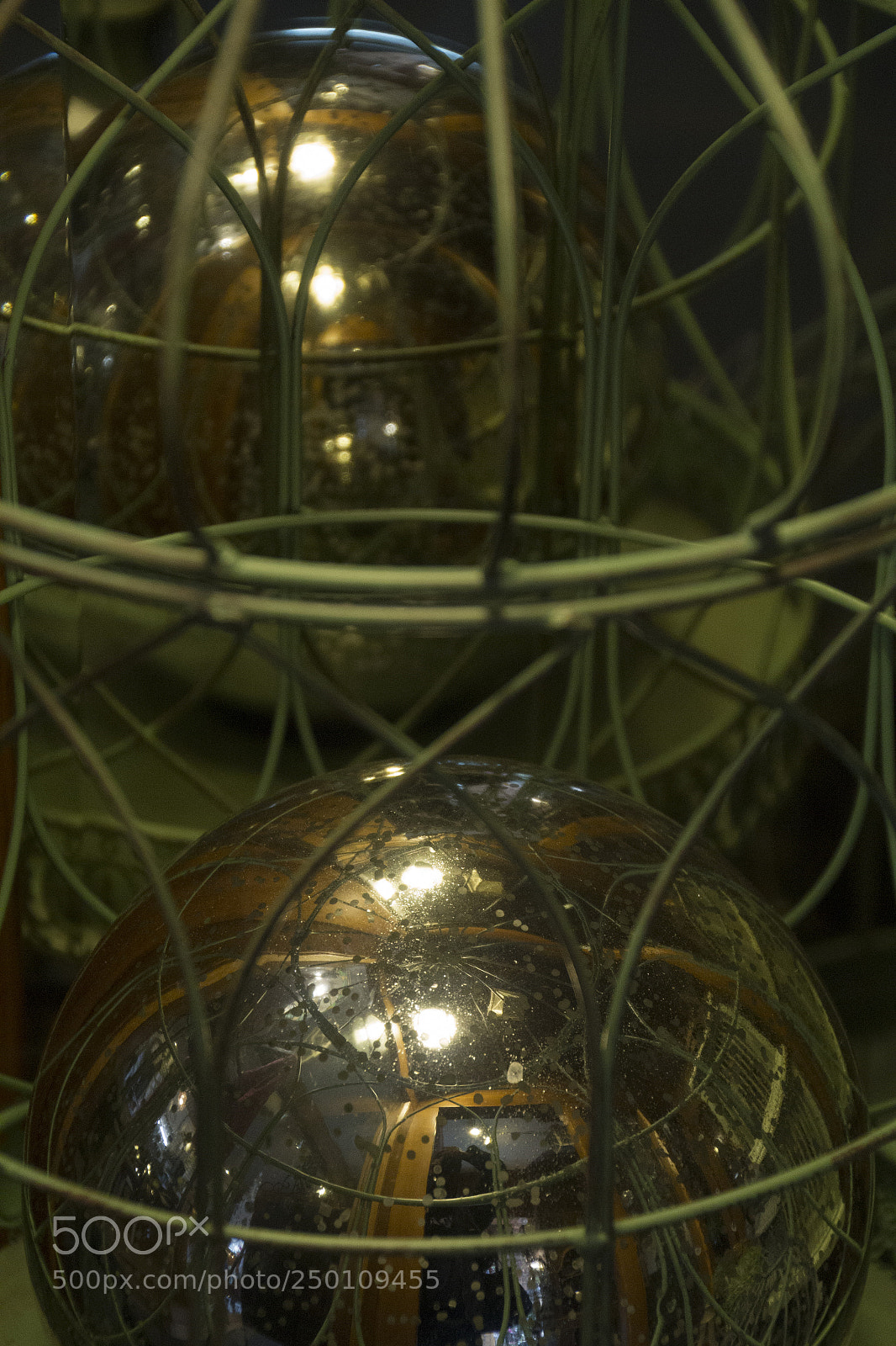 Canon EOS 1200D (EOS Rebel T5 / EOS Kiss X70 / EOS Hi) sample photo. Metallic ooooooooooooooooooooooooooooooooooooooooo photography