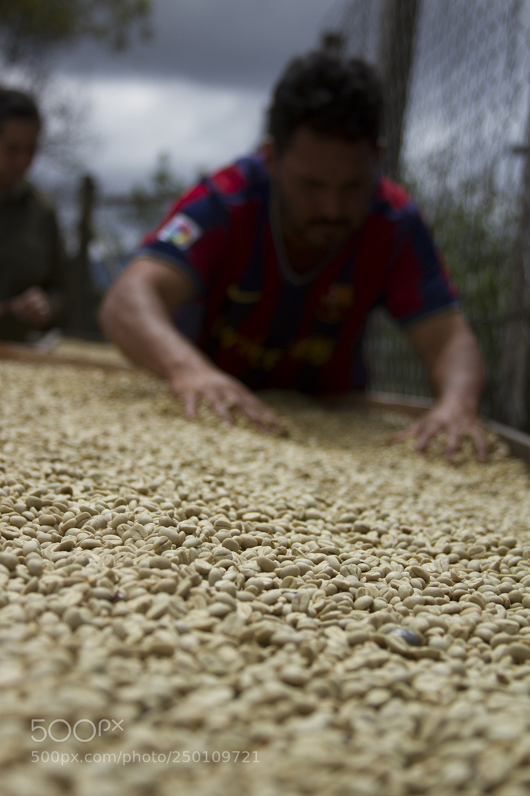 Canon EOS 7D sample photo. Coffee dry photography