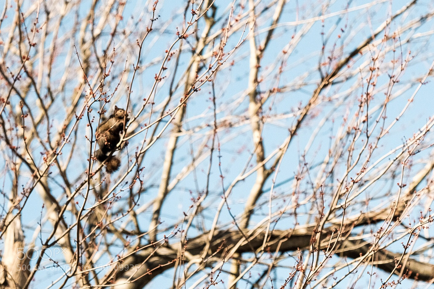 Fujifilm X-T2 sample photo. Waiting for spring photography