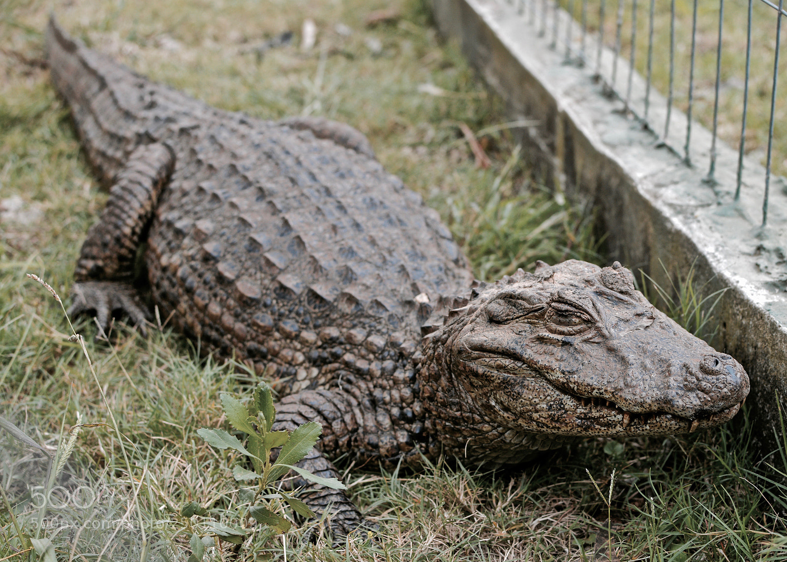 Nikon D3200 sample photo. "beware" photography