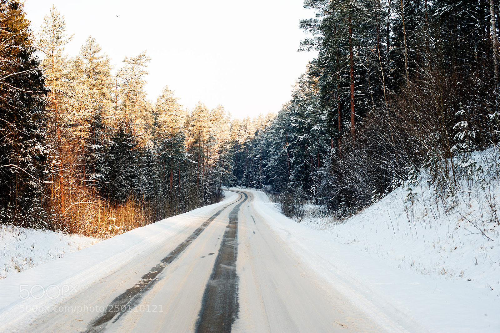 Nikon D3 sample photo. Road through the forest photography