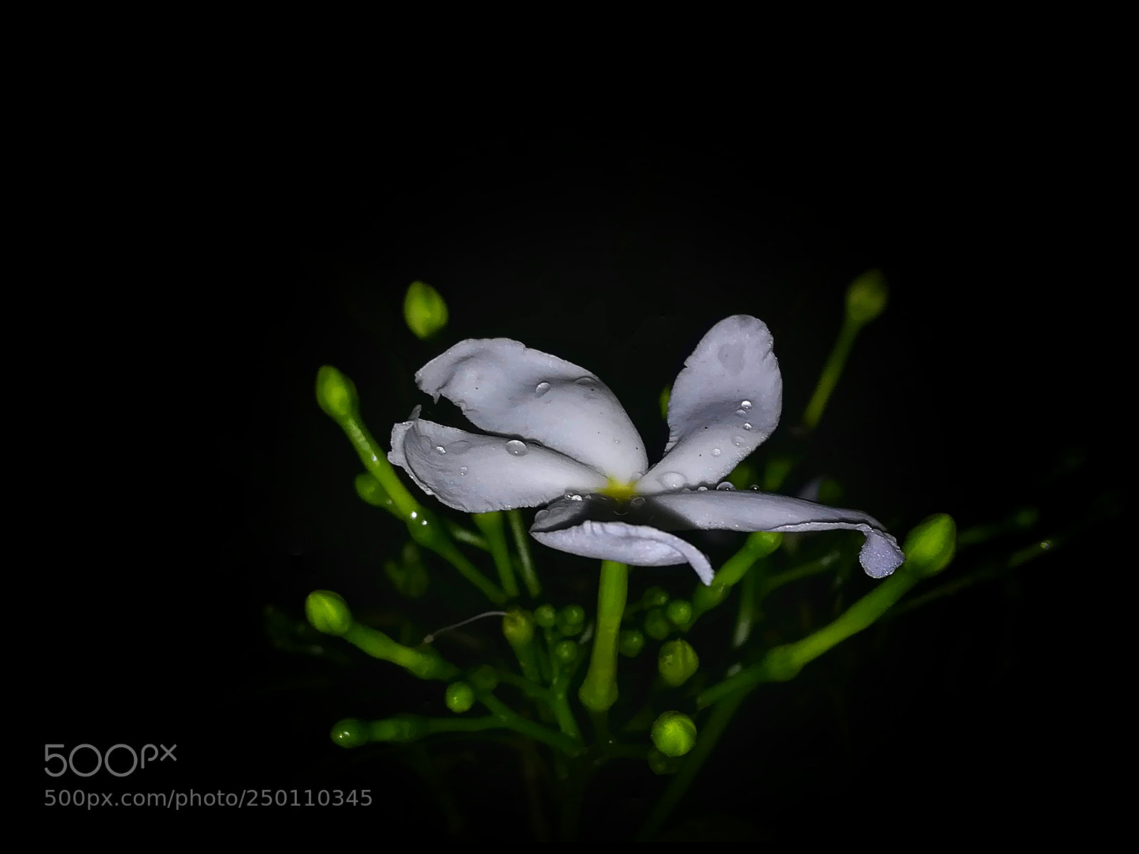 HUAWEI honor 6x sample photo. A tagar.... photography