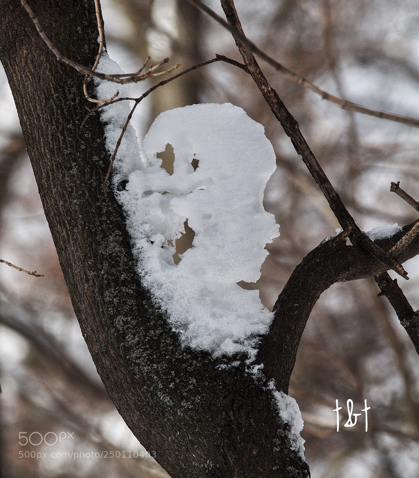 Canon EOS 7D sample photo. Untitled photography