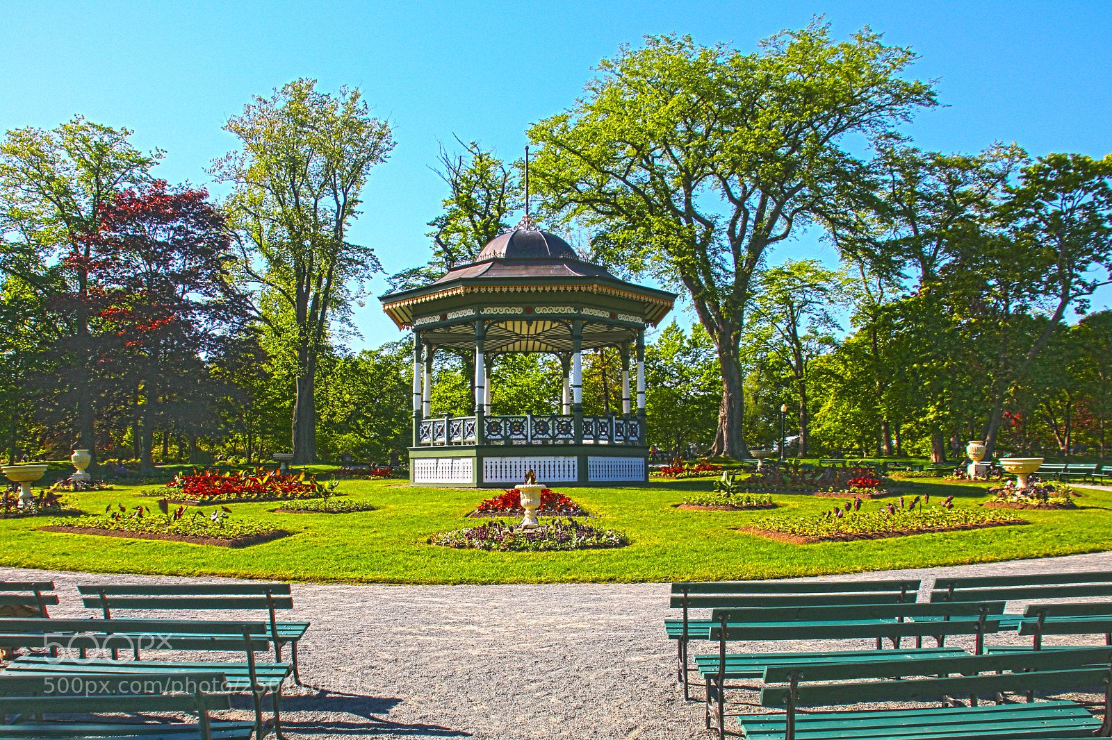 Canon EOS 80D sample photo. Halifax public gardens photography