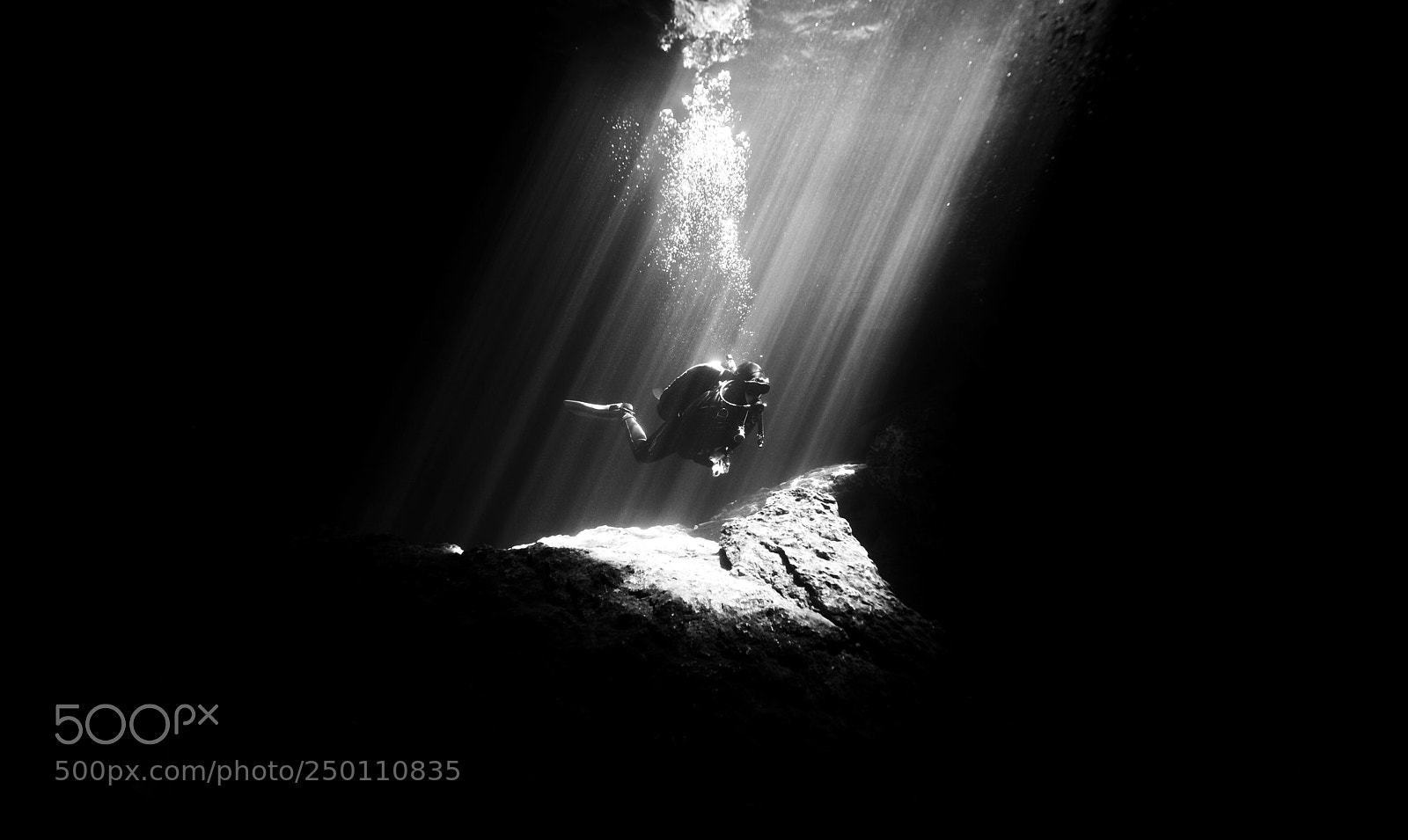 Nikon D810 sample photo. Scuba in devils den photography
