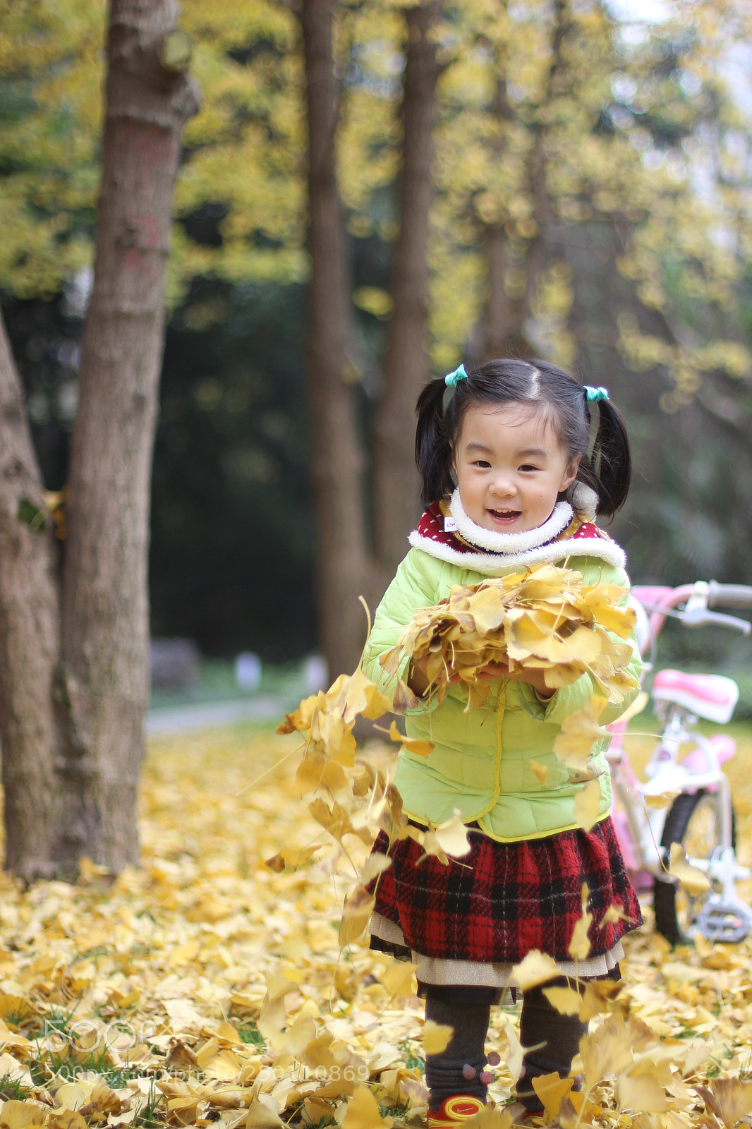 Canon EOS 600D (Rebel EOS T3i / EOS Kiss X5) sample photo. 秋天来了 photography
