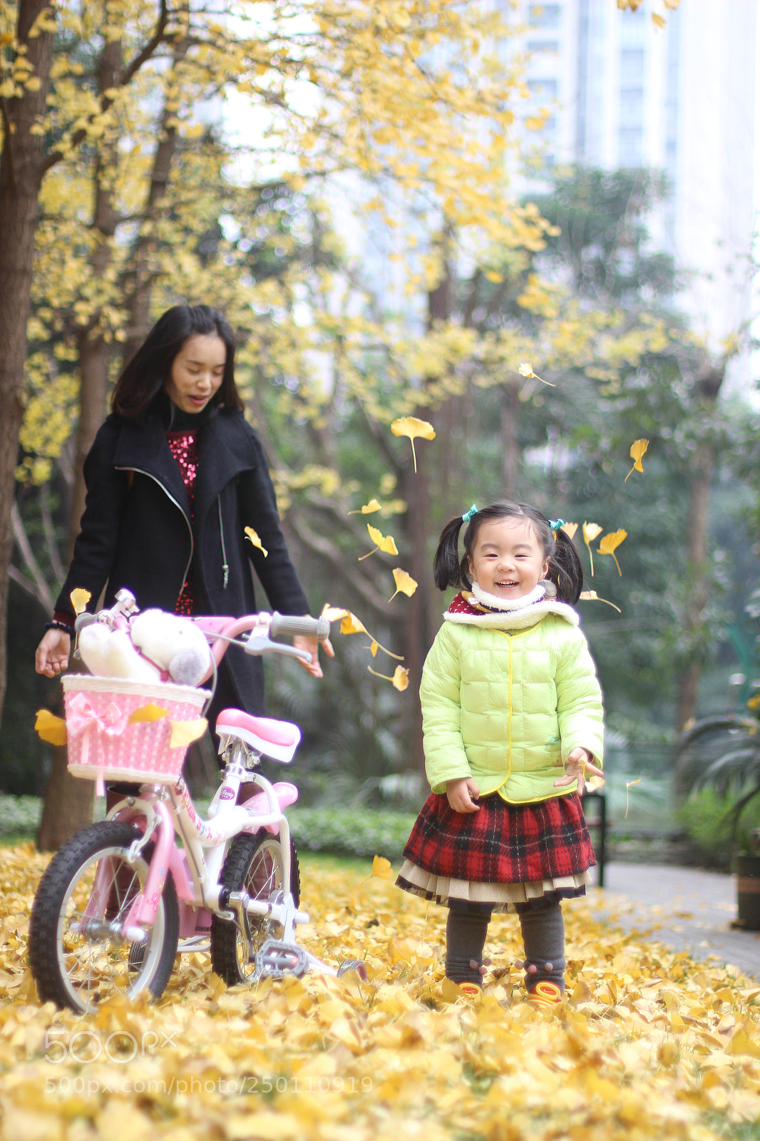 Canon EOS 600D (Rebel EOS T3i / EOS Kiss X5) sample photo. 秋天来了 photography