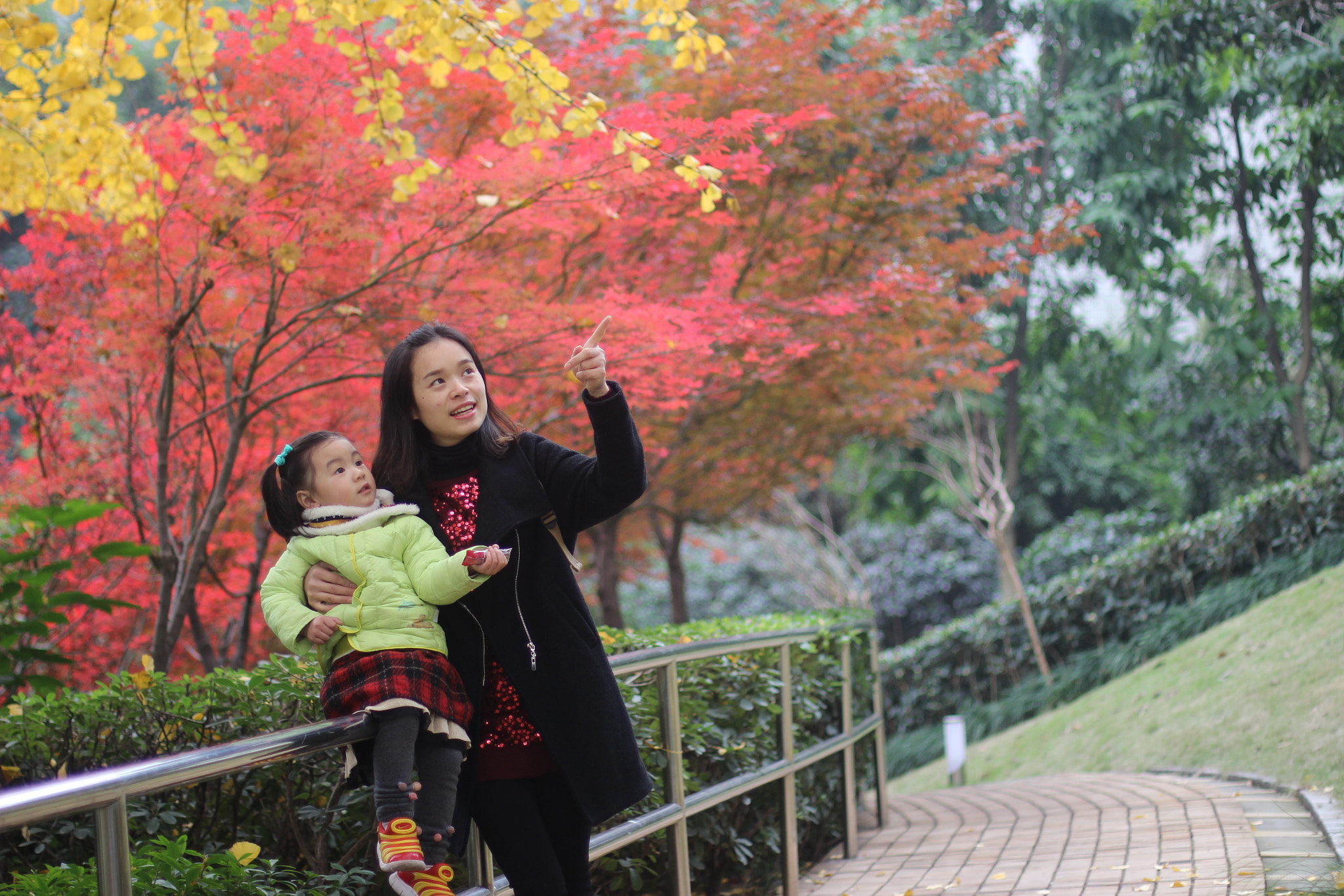 Canon EOS 600D (Rebel EOS T3i / EOS Kiss X5) + Canon EF 50mm F1.4 USM sample photo. 秋天来了 photography