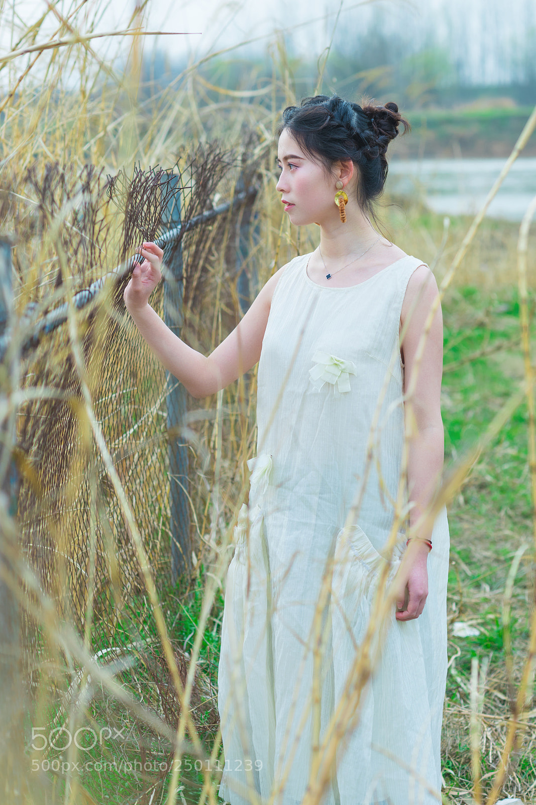Nikon D810 sample photo. Dsc photography
