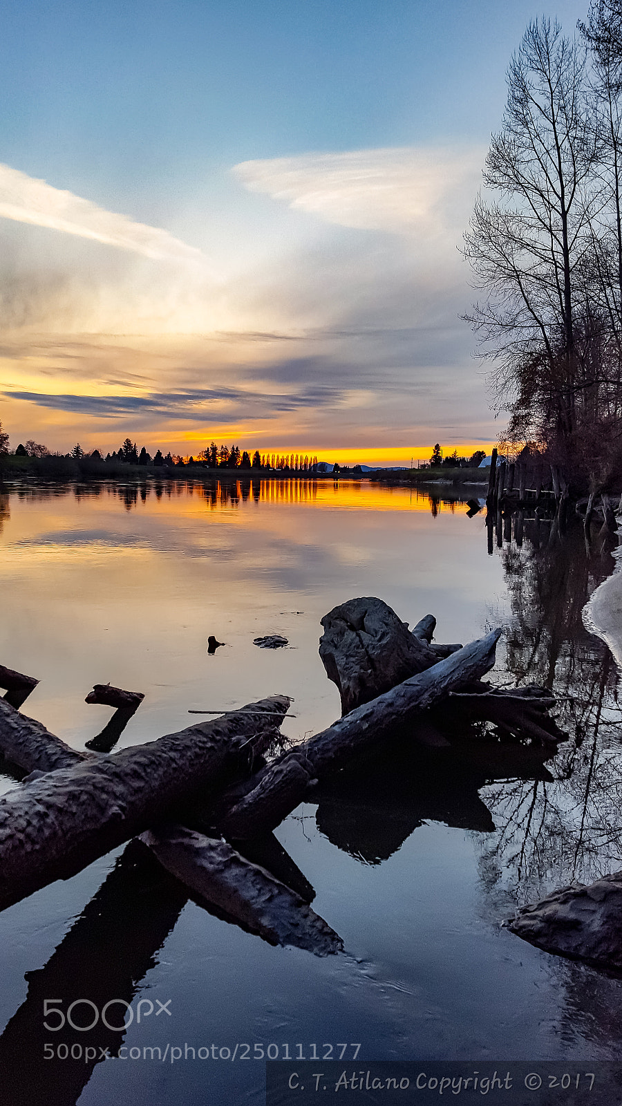 Samsung GALAXY S6 edge sample photo. The river skagit photography