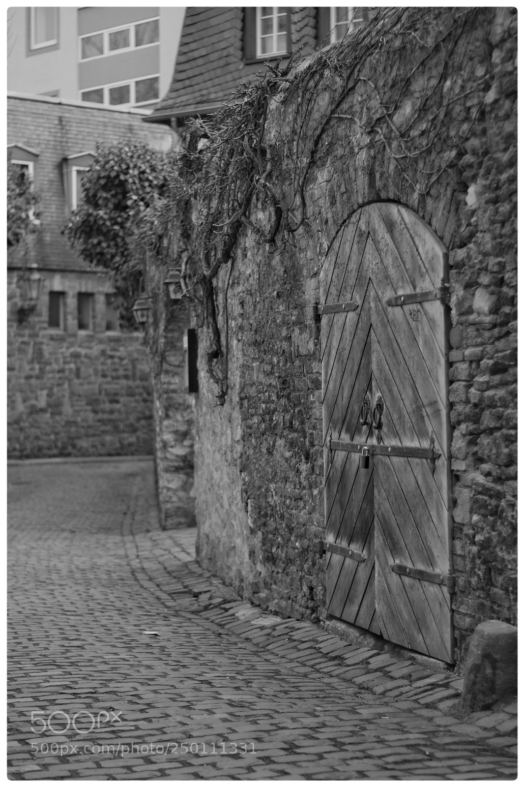Nikon D7200 sample photo. 'old gate' photography