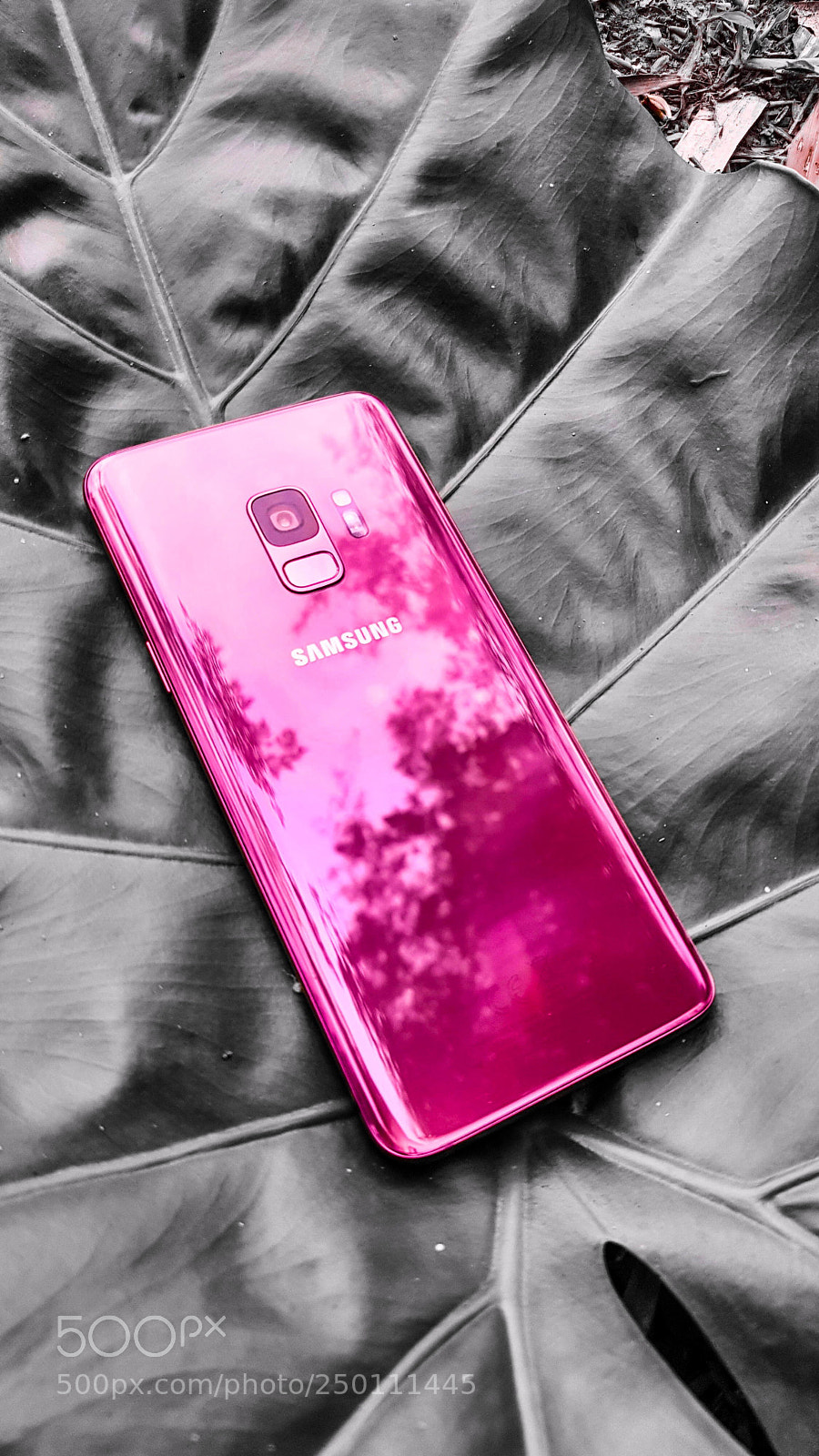 Samsung Galaxy S7 sample photo. Samsung galaxy s9 photography