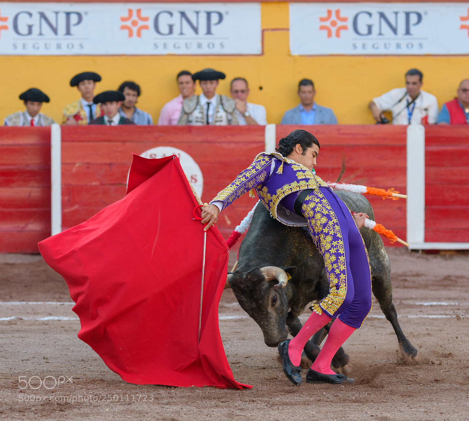 Nikon D7500 sample photo. Cambiado por la espalda photography