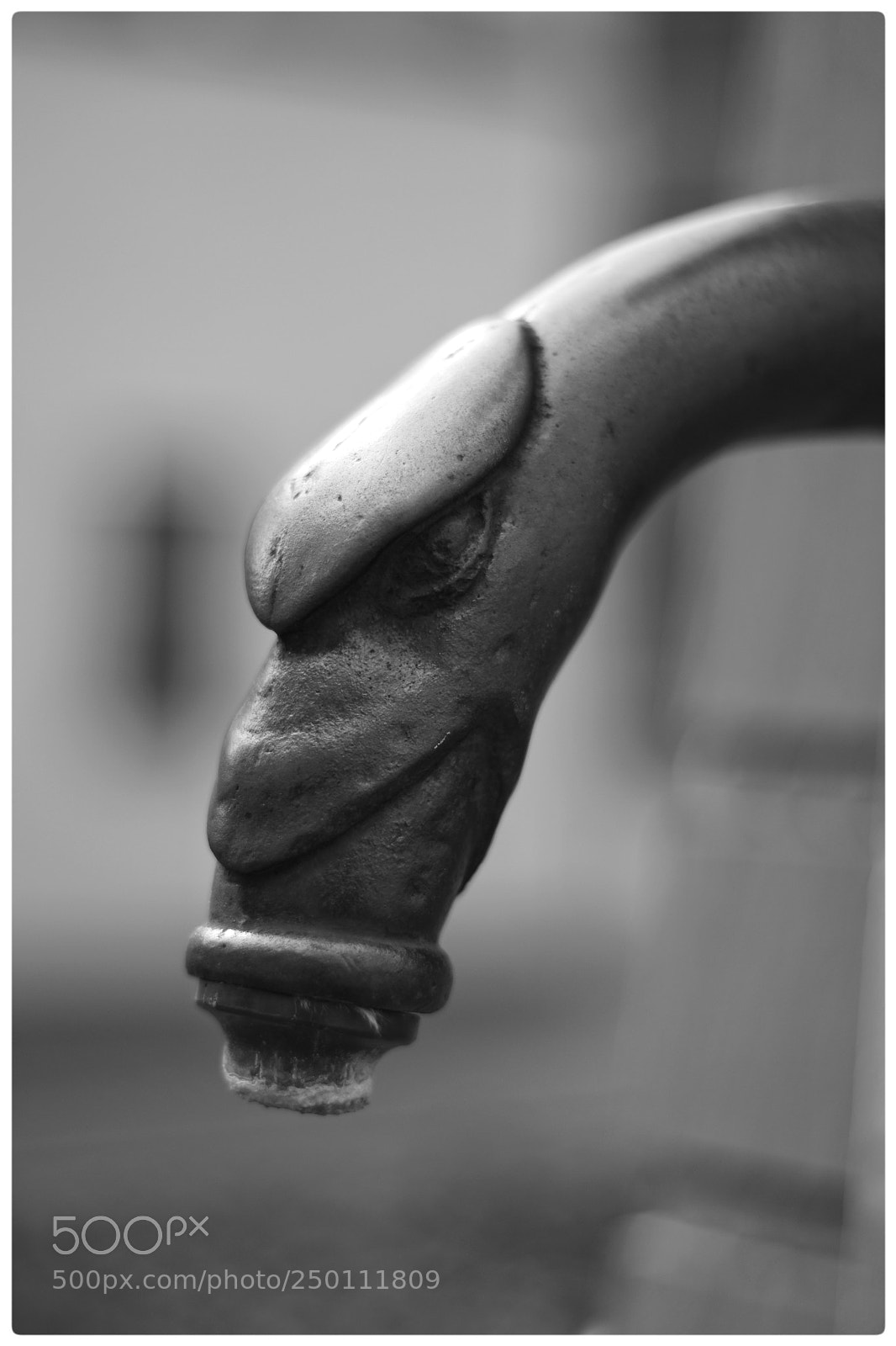 Nikon D7200 sample photo. 'dragon (?)' photography