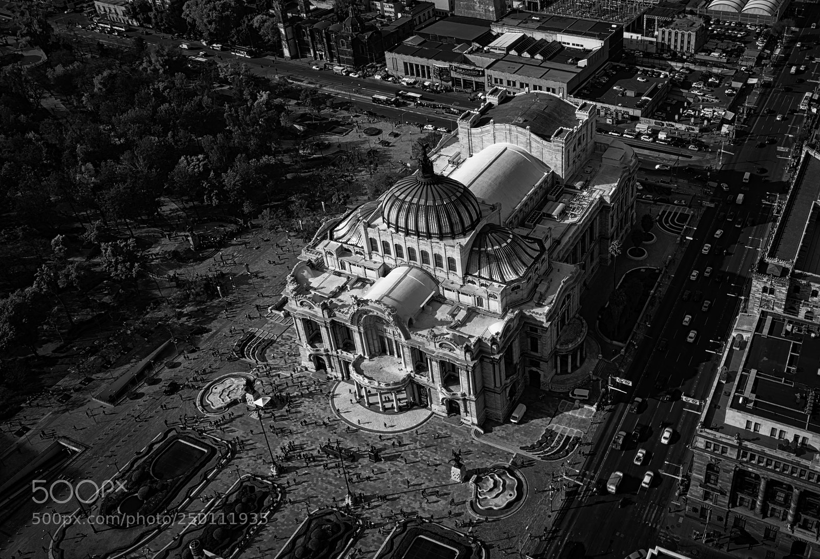 Nikon D3300 sample photo. Bellas artes from above photography