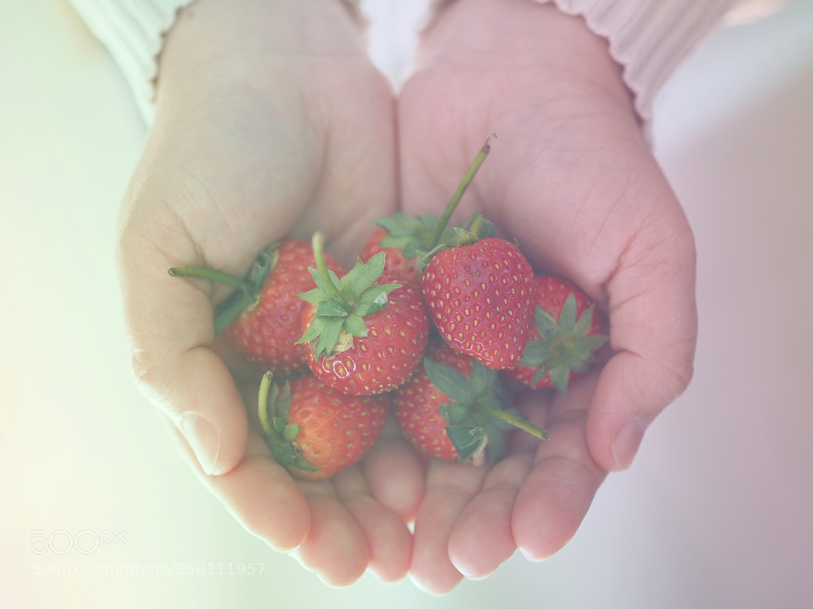 Olympus OM-D E-M10 III sample photo. Fresh strawberries in woman photography