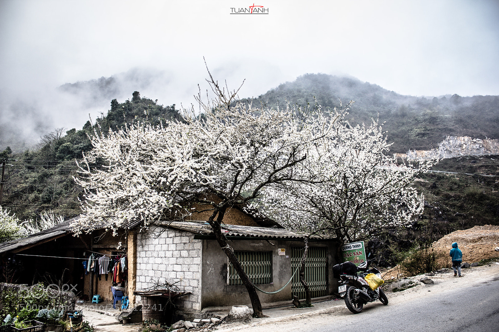Canon EOS 60D sample photo. Untitled photography