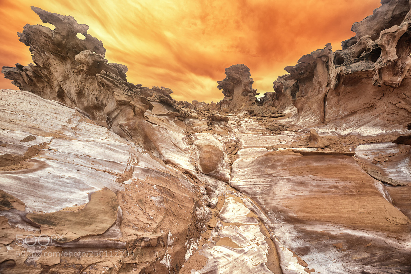 Nikon D800 sample photo. Fire valley photography