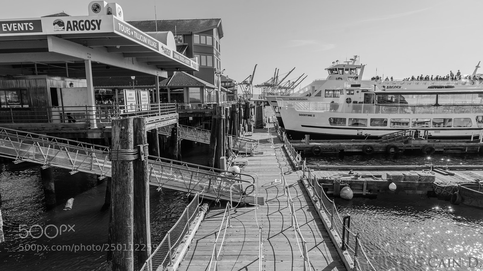 Sony a7 II sample photo. Dsc photography