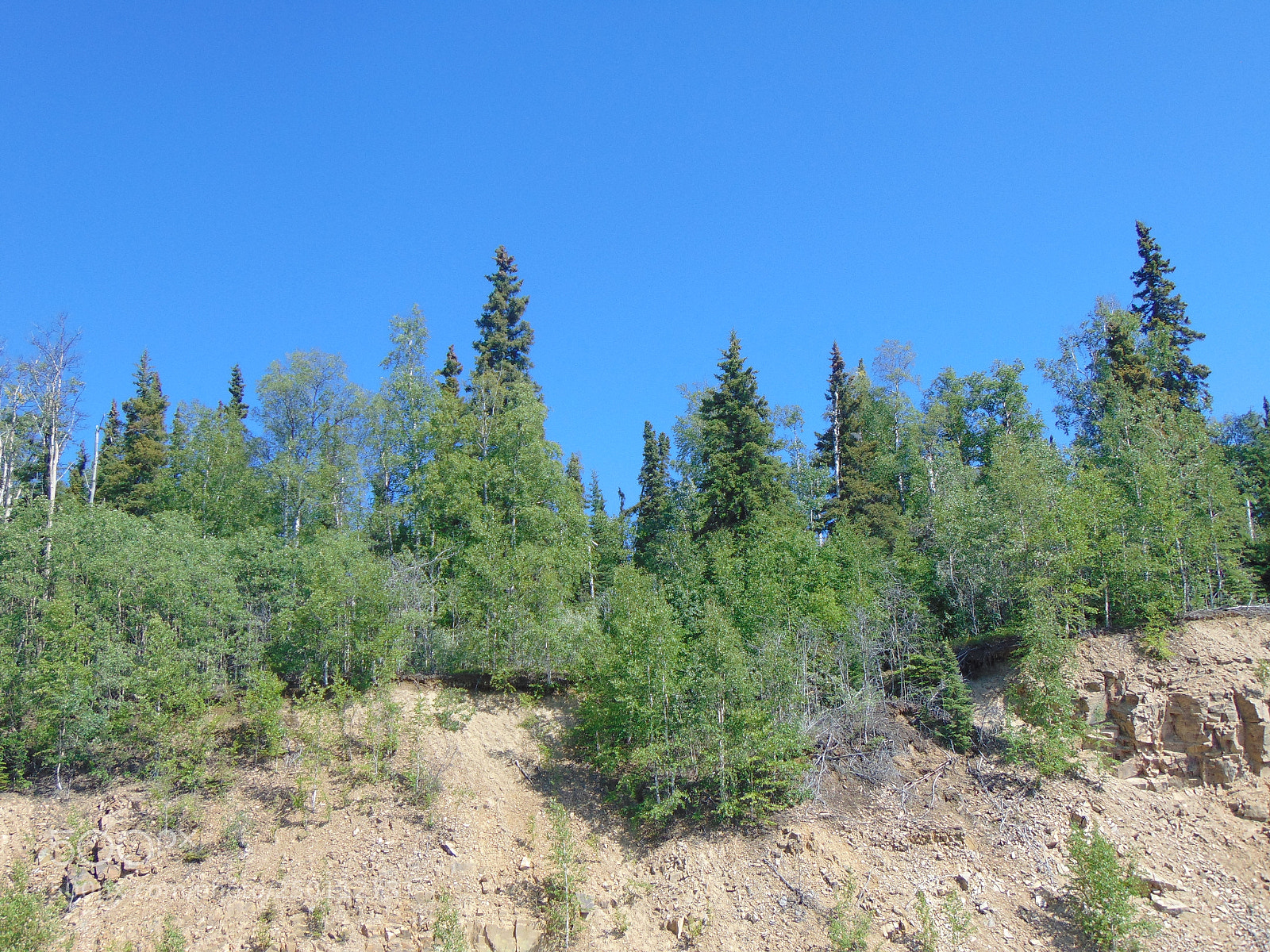 Sony Cyber-shot DSC-H300 sample photo. Alaskan wilderneaa photography