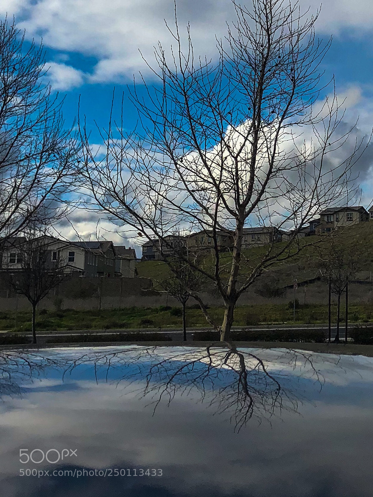 Apple iPhone 8 Plus sample photo. Reflection  photography