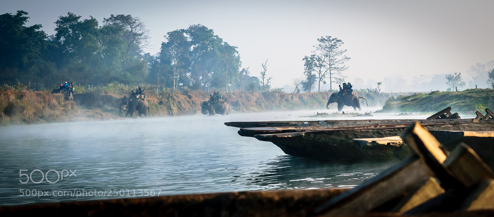 Nikon D5300 sample photo. Chitwan photography
