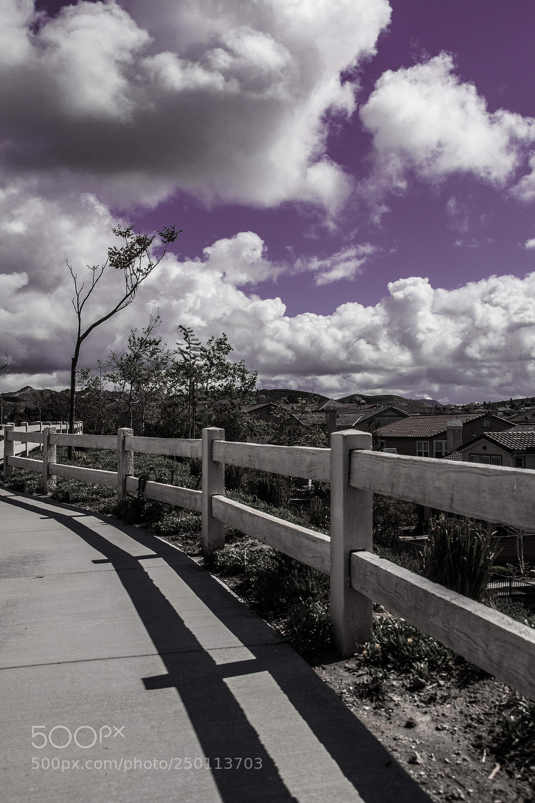 Canon EOS 70D sample photo. Purple sky photography