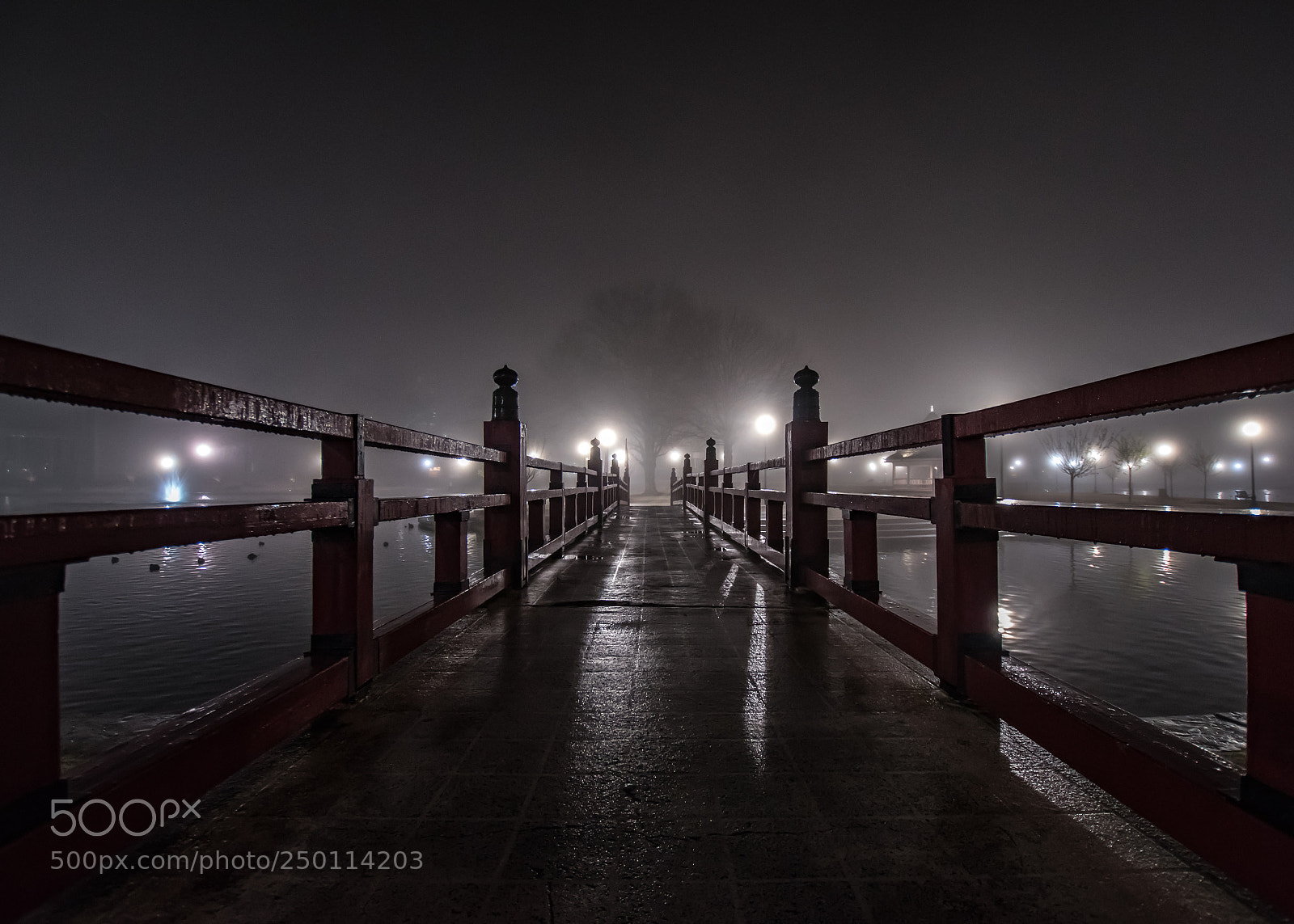 Nikon D5500 sample photo. Foggy bridge photography