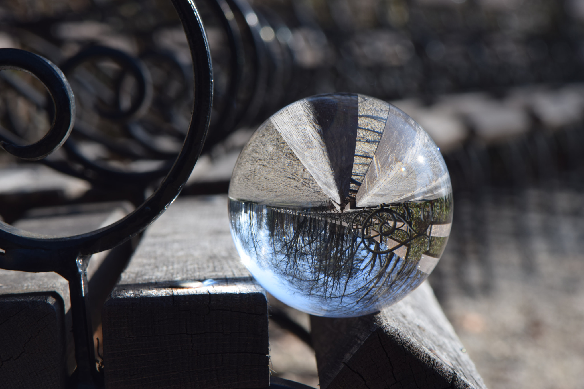Nikon AF-S Micro-Nikkor 105mm F2.8G IF-ED VR sample photo