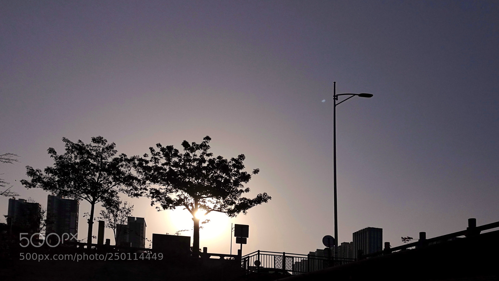 HUAWEI P9 sample photo. Morning photography