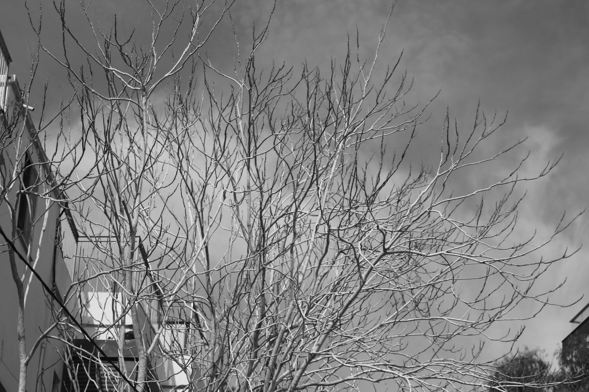 Canon EOS 700D (EOS Rebel T5i / EOS Kiss X7i) sample photo. Dark photography