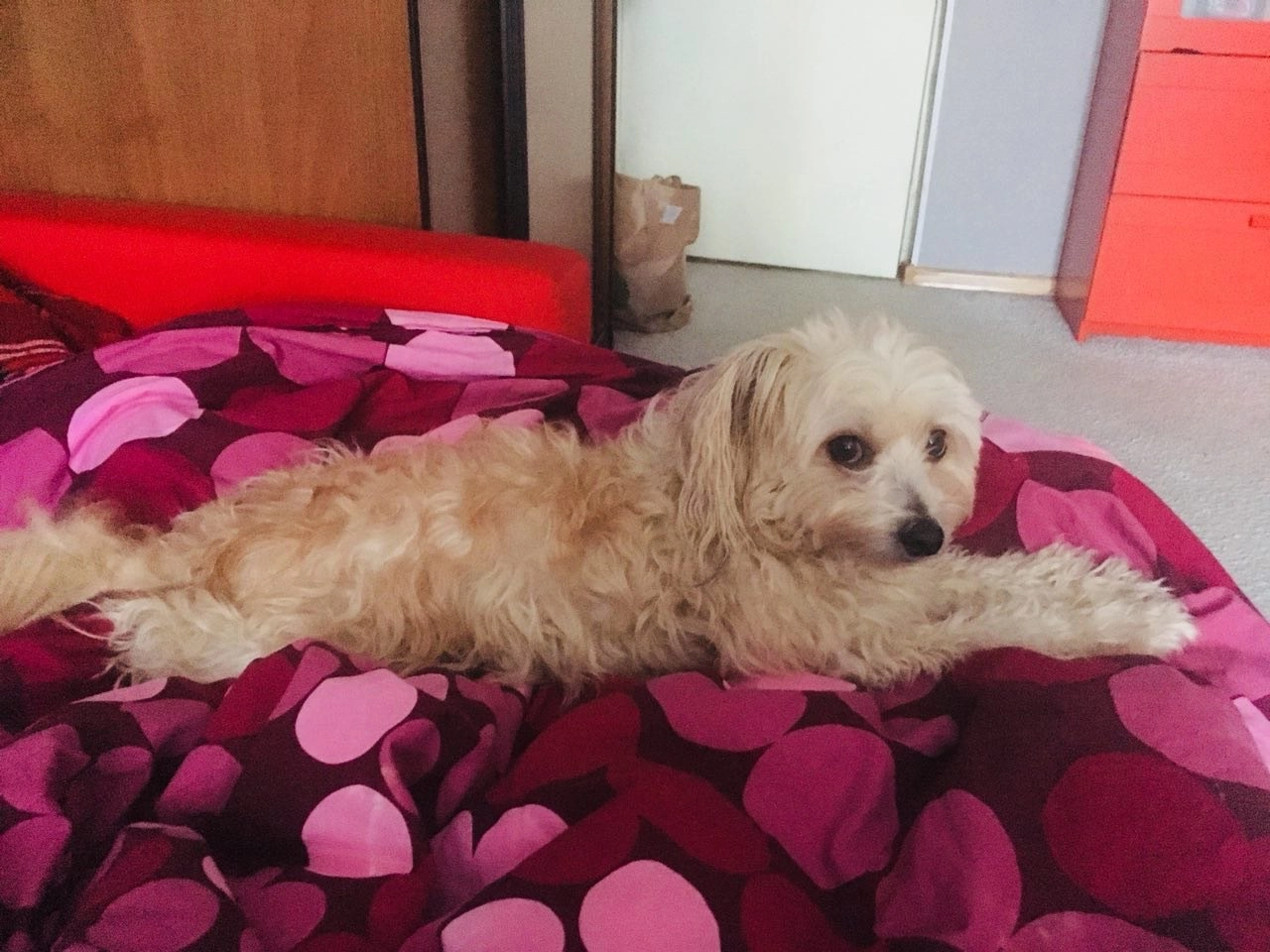 v2?sig=17d1188eacdb3cdecebbae38d93bab6d2124e4e8f2afb9f364127844a851ca26