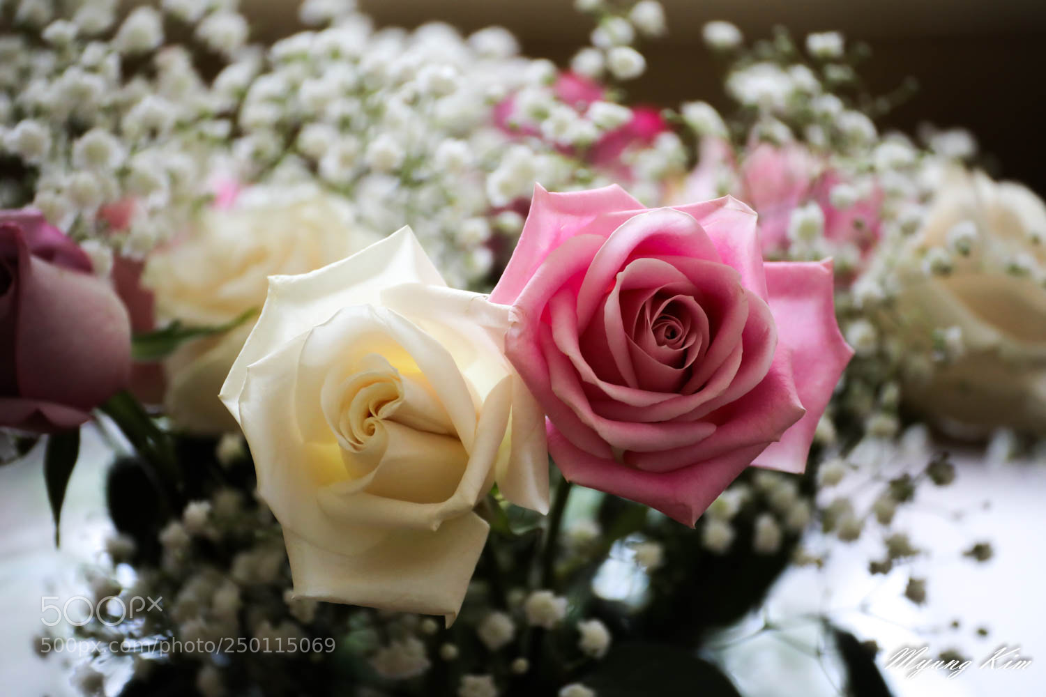 Canon EOS 5D Mark IV sample photo. Pa photography