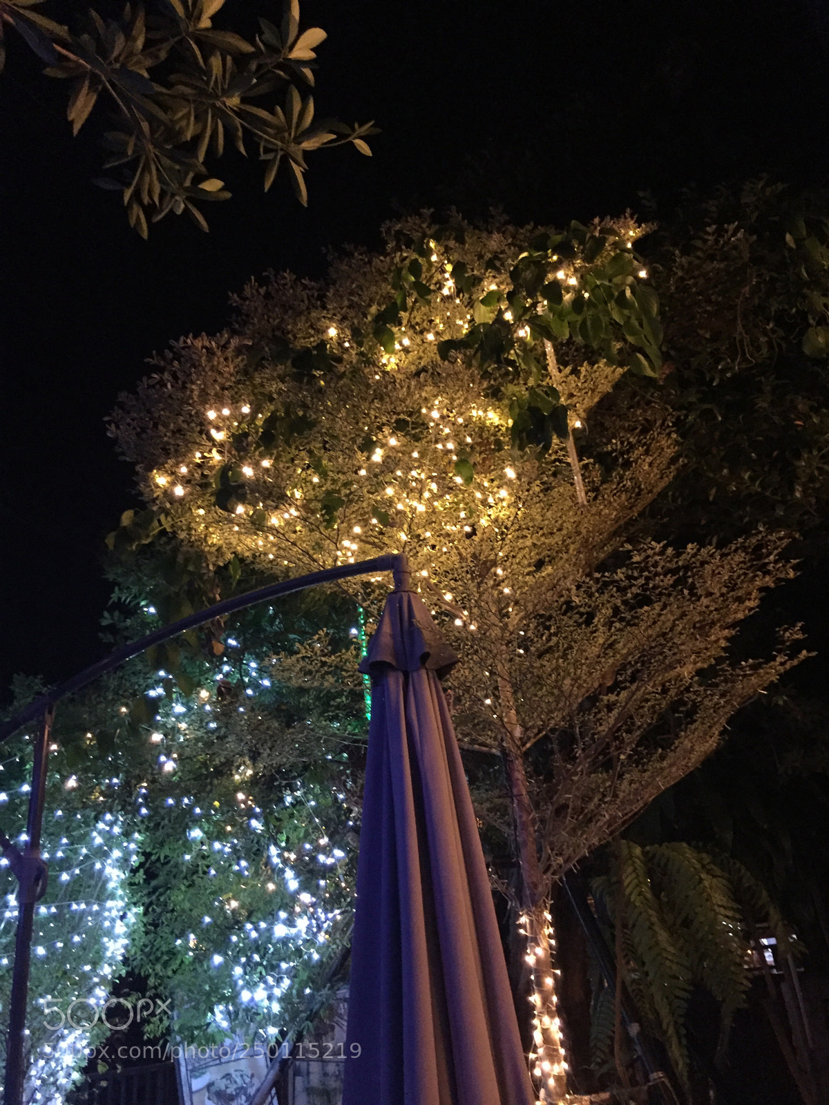 Apple iPhone 6 sample photo. Untitled photography
